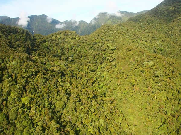 Berg Bosavi, Papua-Neuguinea. Author Panvorax. Licensed under the Creative Commons Attribution.