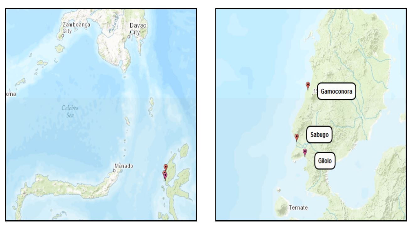 Isla de Halmahera - los fuertes de la banda del norte