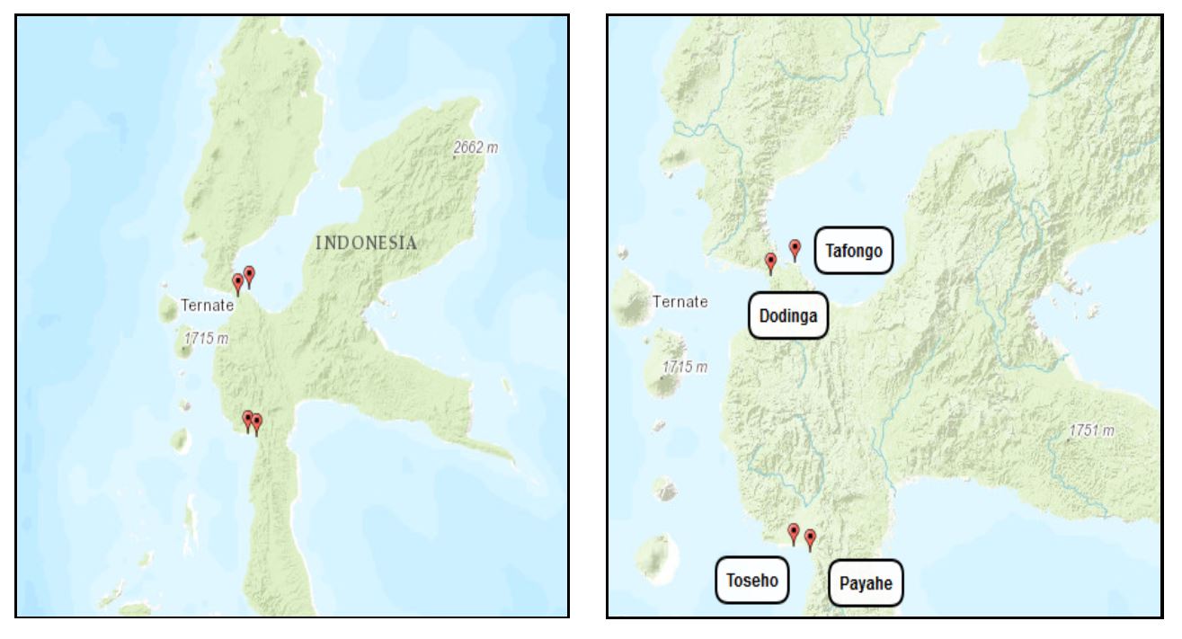 Los fuertes españoles en la isla de Halmahera, los fuertes de la banda del sur